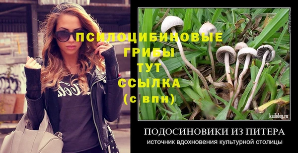 прущие грибы Баксан