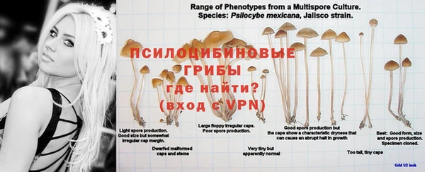 каннабис Балабаново