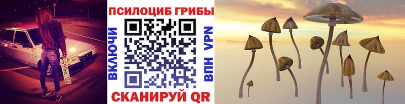 Галлюциногенные грибы мицелий  закладки  гидра вход  Таштагол 